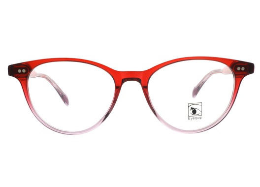 Eyequip - OV5402