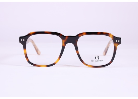 IQ Eyewear - FG1068 (Clip On)