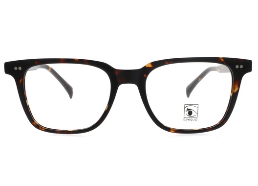 Eyequip - OV5031