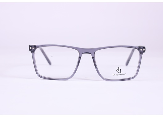IQ Eyewear - FG1026 (Clip On)
